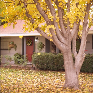 Frivolous Friday vol. 99